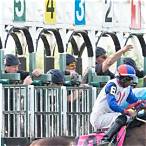 horse racing place bet
